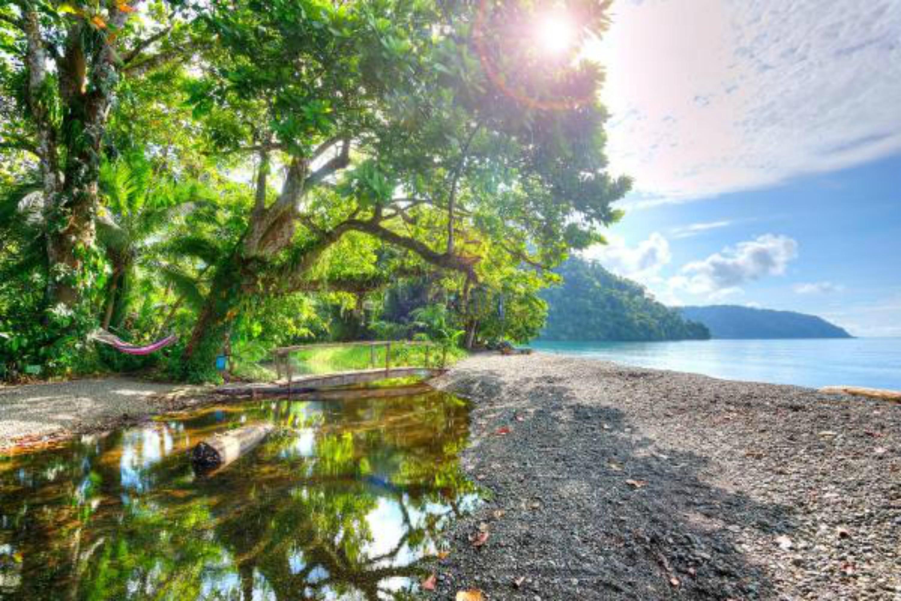 Playa Nicuesa Rainforest Eco Sanctuary Голфіто Екстер'єр фото