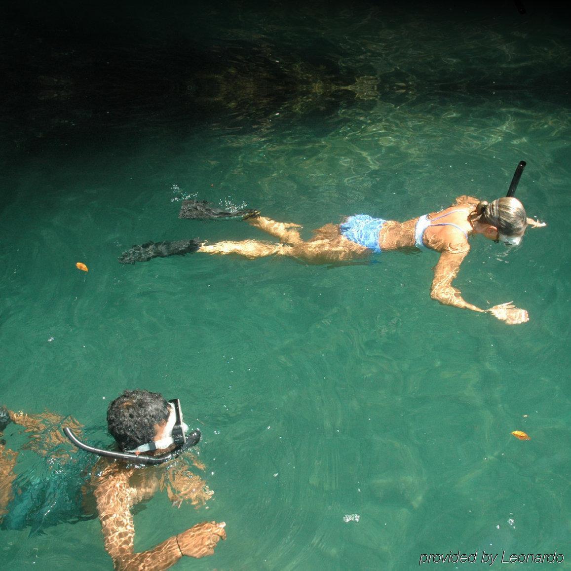 Playa Nicuesa Rainforest Eco Sanctuary Голфіто Екстер'єр фото