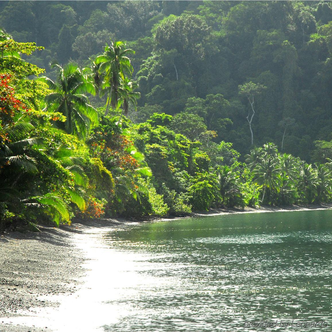 Playa Nicuesa Rainforest Eco Sanctuary Голфіто Екстер'єр фото